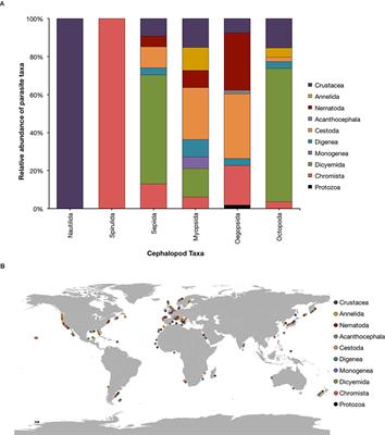 A Perspective Around Cephalopods and Their Parasites, and Suggestions on How to Increase Knowledge in the Field